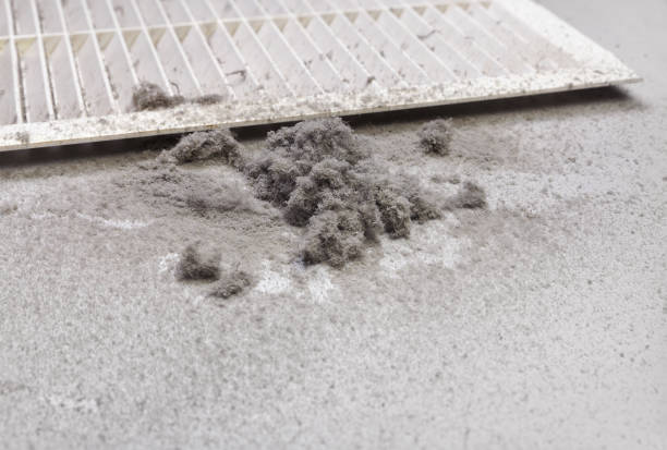 Best Air Vent Cleaning Services  in Berryville, AR
