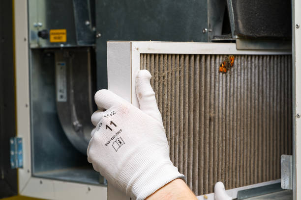 Best Emergency Air Duct Cleaning  in Berryville, AR