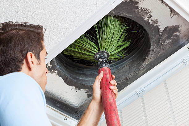 Best Emergency Air Duct Cleaning  in Berryville, AR