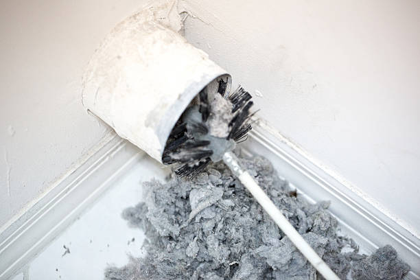 Best HVAC System Cleaning  in Berryville, AR
