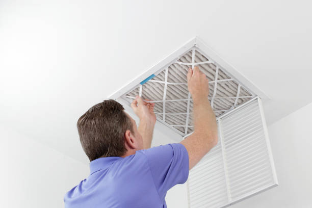 Best Ductwork Cleaning Services  in Berryville, AR